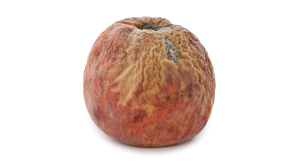 Rotten Fruit