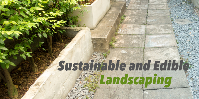 Sustainable and Edible Landscaping