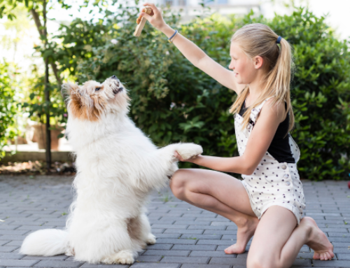 Are Your Pets Good Neighbors?