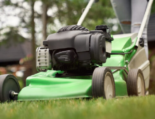 Five Tips for End of Summer Lawn Care