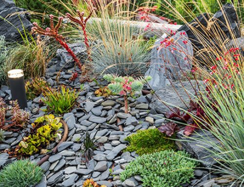 Drought Friendly Landscaping